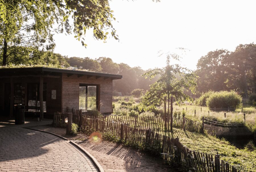 1-day ticket for Schwerin Zoo - A practical 1-day route: prairie dogs, then rhinos