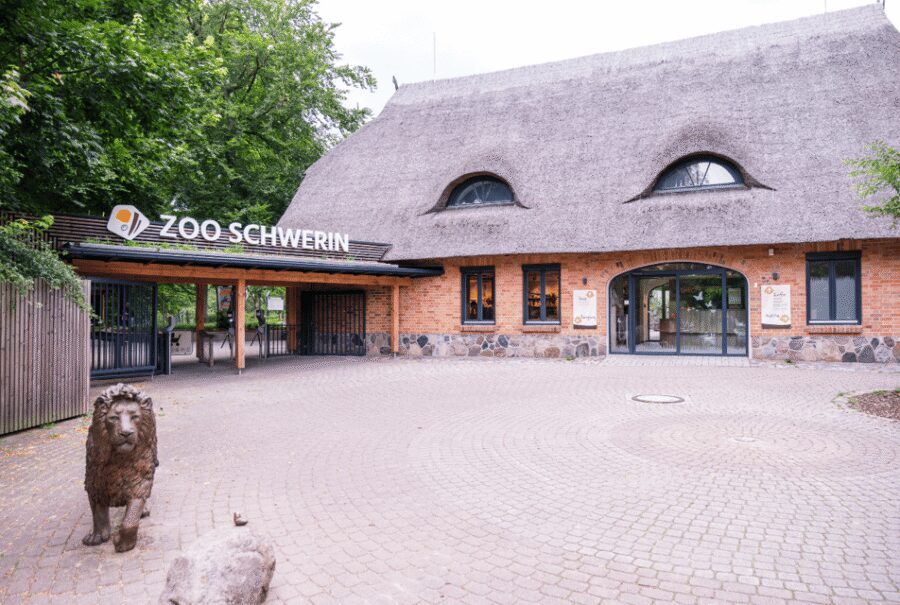1-day ticket for Schwerin Zoo - Breaks, snacks, and playgrounds: the family reality check