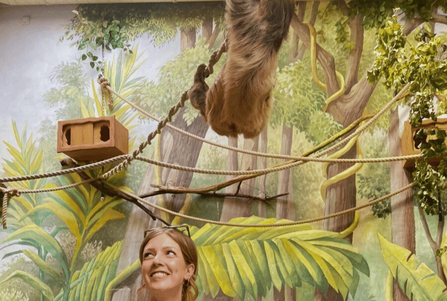 1-day ticket for Schwerin Zoo - Tickets and entry: avoid the common friction points