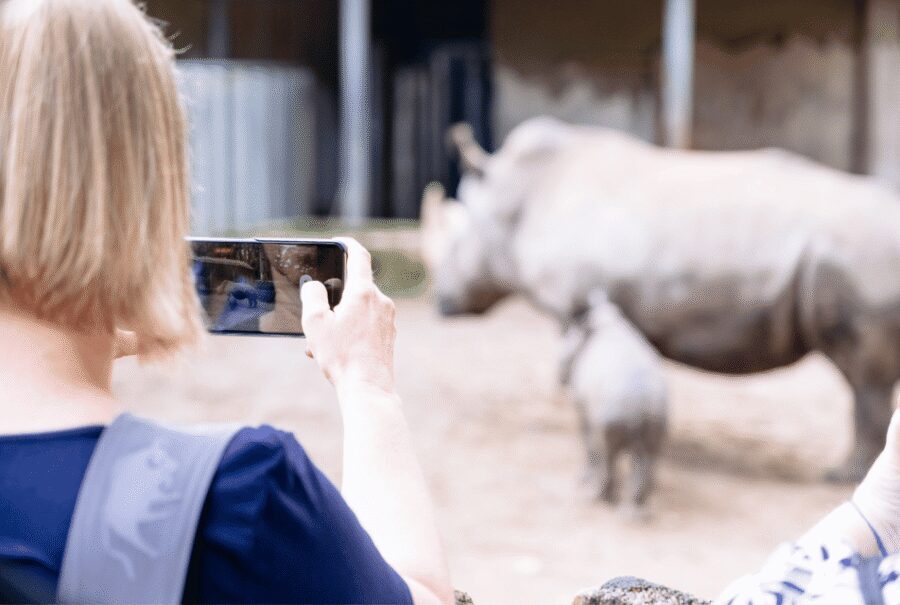 1-day ticket for Schwerin Zoo - Value check: is $16 for a one-day zoo ticket worth it?