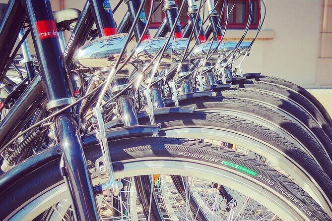 2 1/2h Guided Bicycle Tour Discover Heidelberg - Tips to make the day easier (and more scenic)
