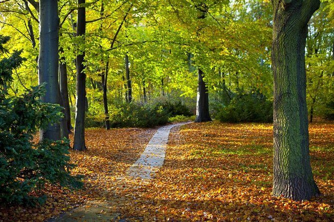 3-Hour Bike Tour of Tiergarten and Berlin's Hidden Places - Key things to know before you pedal Berlin’s hidden corners