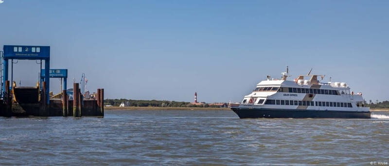 Amrum: Day trip by boat to Hallig Hooge - Key Highlights Worth Planning For