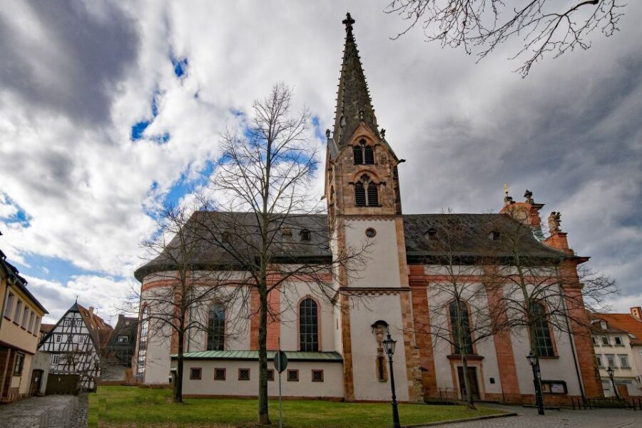 Aschaffenburg: Private Guided Walking Tour - The on-the-spot customizing that makes private tours worth it