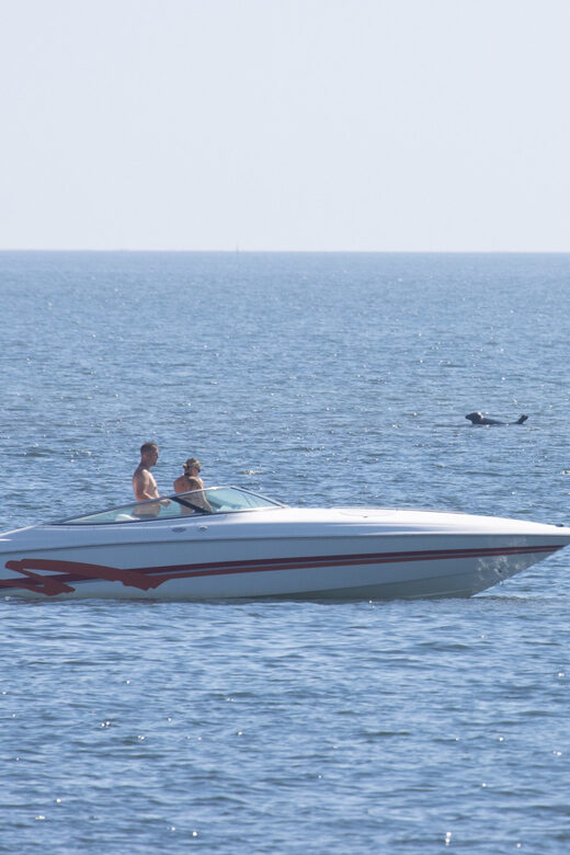 Baabe on Rügen: Seal-Spotting Cruise in the Baltic - Cruising southeast Rügen: views you’ll actually use for spotting