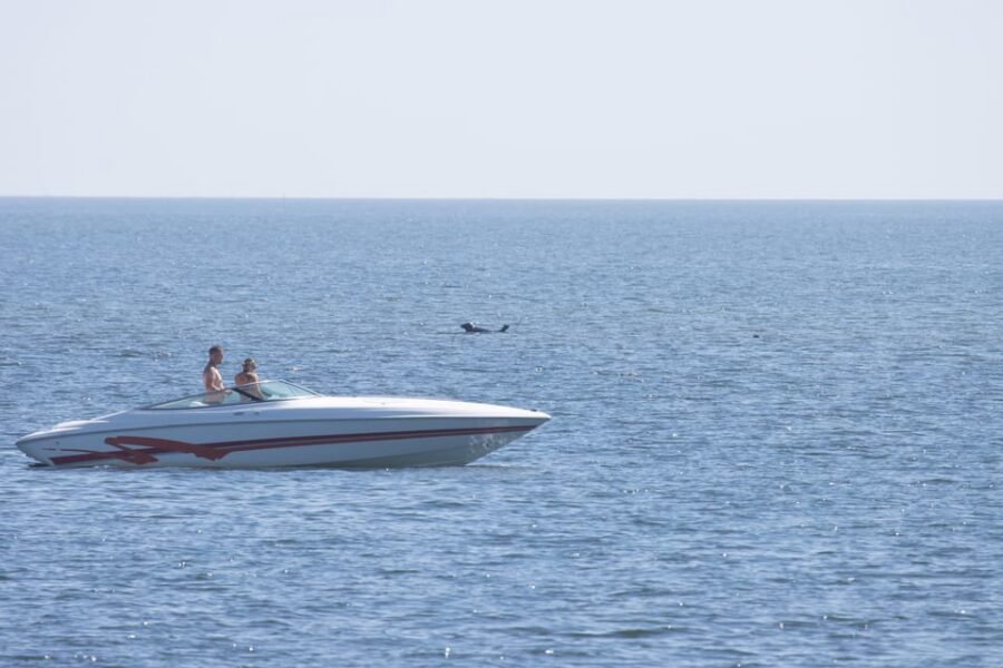 Baabe on Rügen: Seal-Spotting Cruise in the Baltic - Should you book Baabe’s seal-spotting cruise?