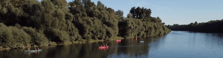 Bad Bellingen: Beginners Canoe Tour on the Altrhein - First paddle day plan: what you do before you hit the rapids