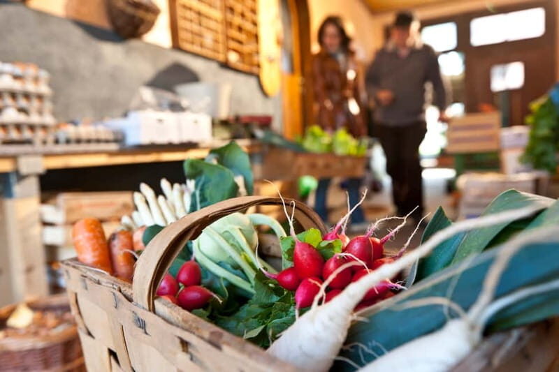 Bamberg: Guided Tour of the Gardeners' District - Price and Value: What You’re Buying for $17