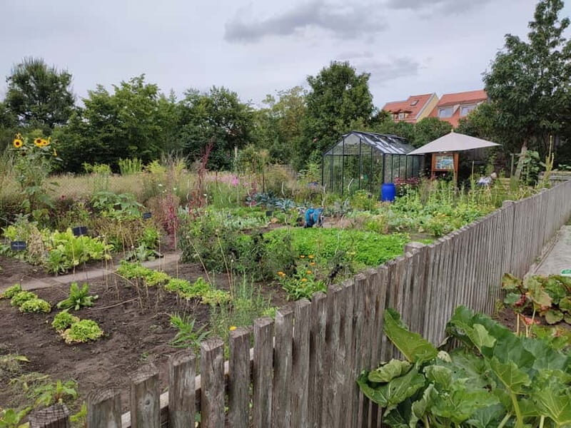Bamberg: Guided Tour of the Gardeners' District - Group Pacing and How to Make the Most of 90 Minutes