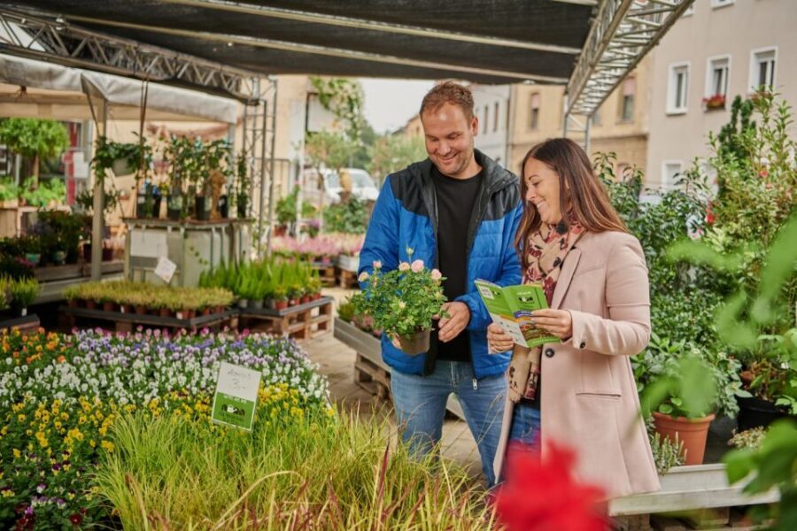 Bamberg: Guided Tour of the Gardeners' District - German-Language Tours: Who Should Book This?