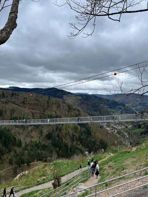 Basel: Black Forest, Waterfall &Mountain, Lakes Private Tour - Leaving Basel in Comfort: What Private Car Means on This Route
