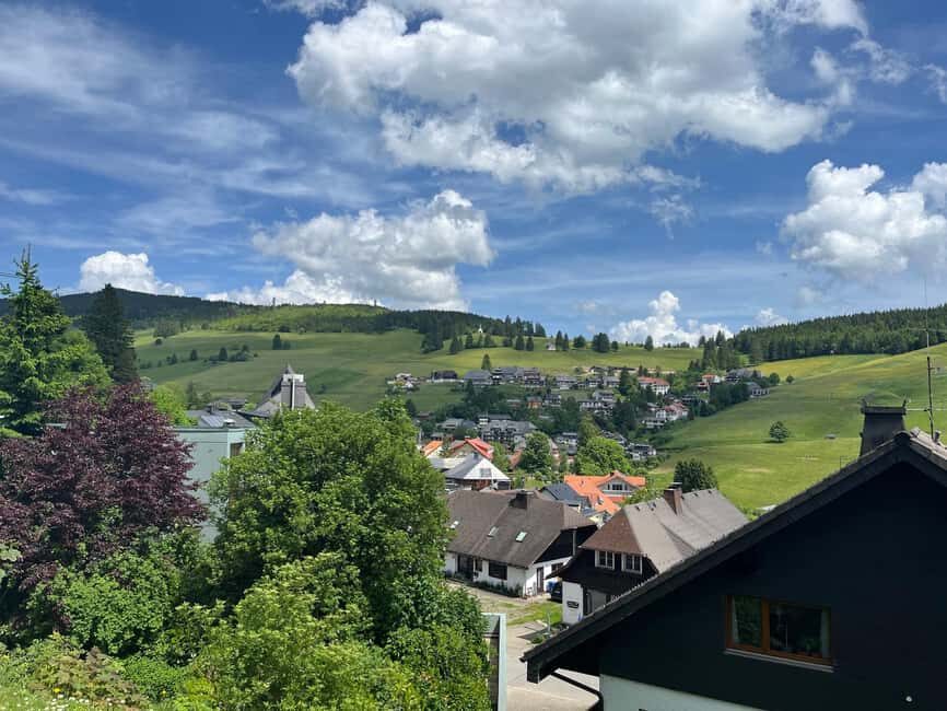 Basel: Black Forest, Waterfall &Mountain, Lakes Private Tour - Who This Tour Suits (and Who Should Skip It)