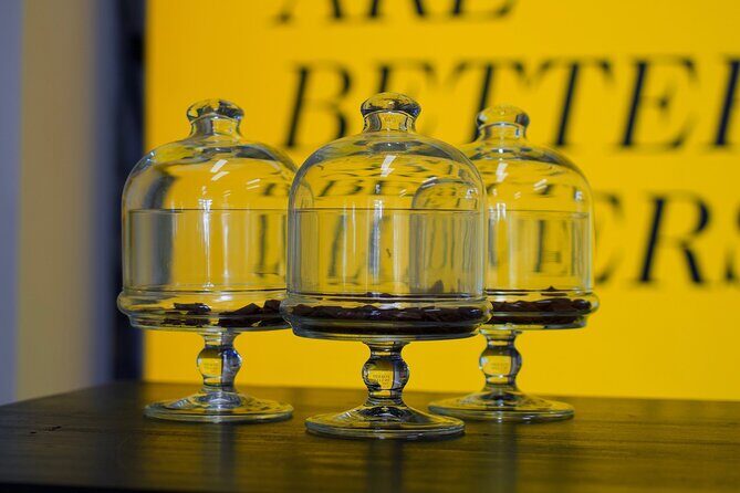 Bean to Bar Chocolate Mini Tasting in Bonn - How the 25-minute mini tasting actually works