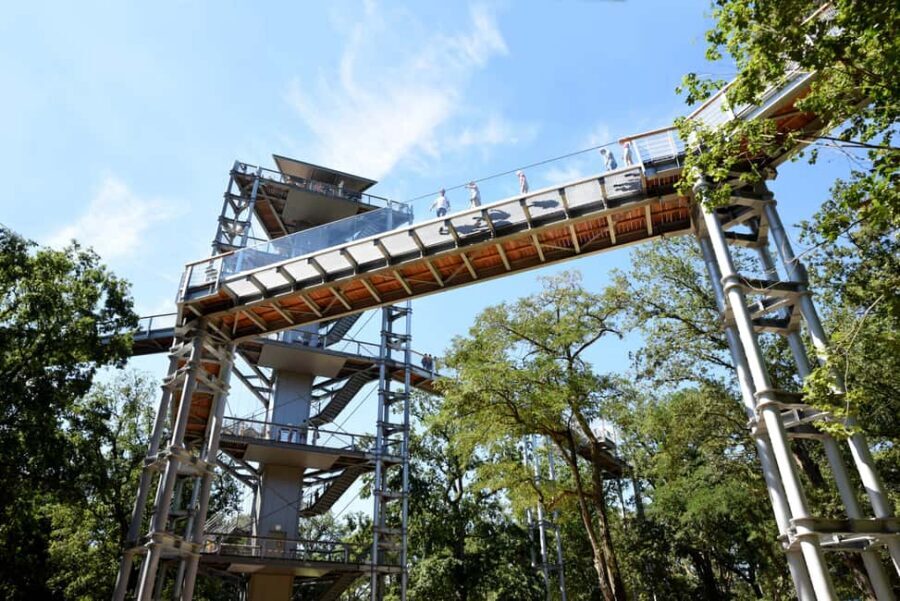 Beelitz-Heilstätten: Baum&Zeit Tree Top Walk Entry Ticket - The 40-meter observation tower: your best payoff, with weather doing the heavy lifting