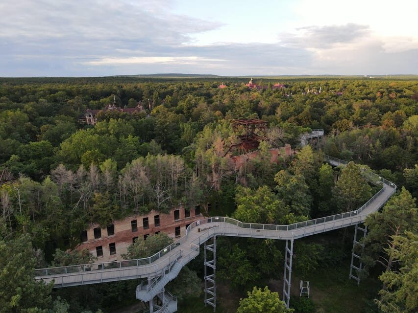 Beelitz-Heilstätten: Baum&Zeit Tree Top Walk Entry Ticket - The sanatorium context: why the women’s recovery story is part of the experience