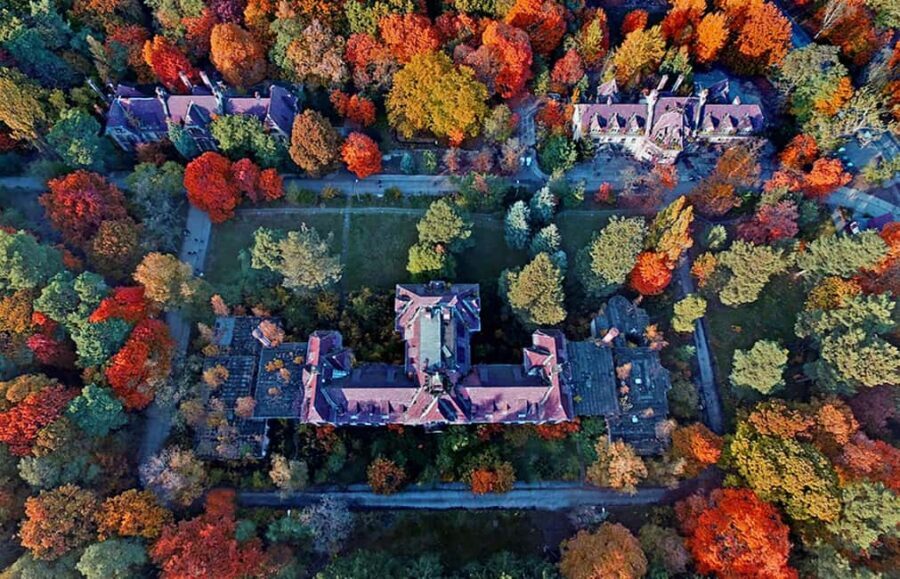 Beelitz-Heilstätten: Baum&Zeit Tree Top Walk Entry Ticket - Buildings and guided tours: what your entry ticket does not cover