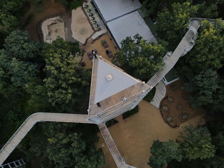 Beelitz-Heilstätten: Baum&Zeit Tree Top Walk Entry Ticket - Timing and getting there: simple logistics that help your day run smoothly
