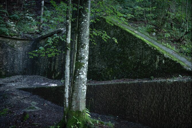 Berchtesgaden-Obersalzberg Private Half Day WWII Historical Tour - Private guide value: how Tom Lewis changes the feel