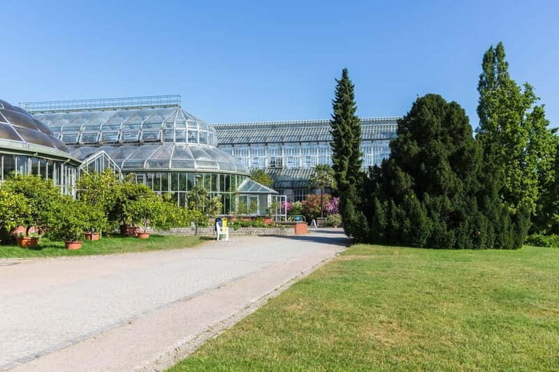 Berlin: Botanic Garden Berlin Entry Ticket with Audio Guide - Main Tropical Greenhouse: your first big “time-warp”