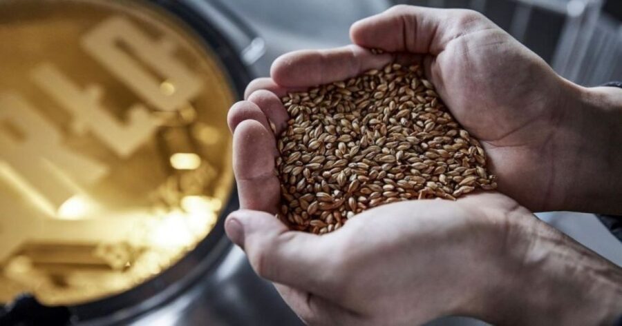 Berlin: BRLO BRWHOUSE Tour and Craft Beer Tasting - How long is enough for a BRLO beer tour?