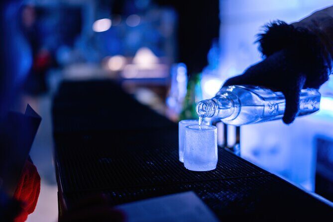 Berlin Combo: Hop-On-Hop-Off Bus and Icebar Ticket - Comfort and service reality checks (so you’re not surprised)