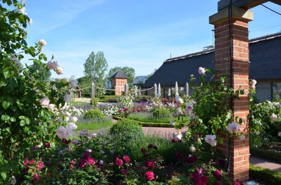 Berlin: Gärten der Welt Guided Tour - Price and value: $10 for a guided world-garden overview