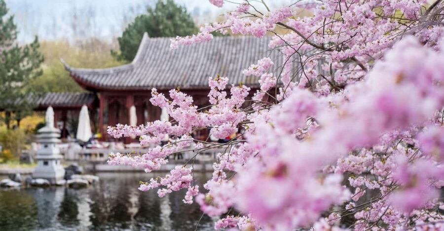 Berlin: Gärten der Welt Guided Tour - Chinese Garden: plants with a design logic (and real names)