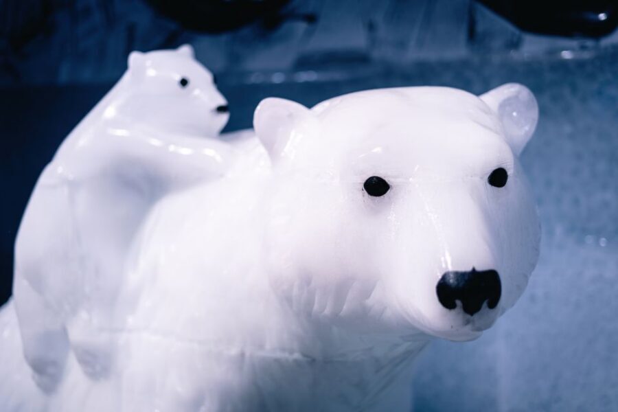 Berlin: Hop-On Hop-Off Bus and Icebar Ticket Combo - What the Icebar Adds That a Normal Berlin Day Doesn’t
