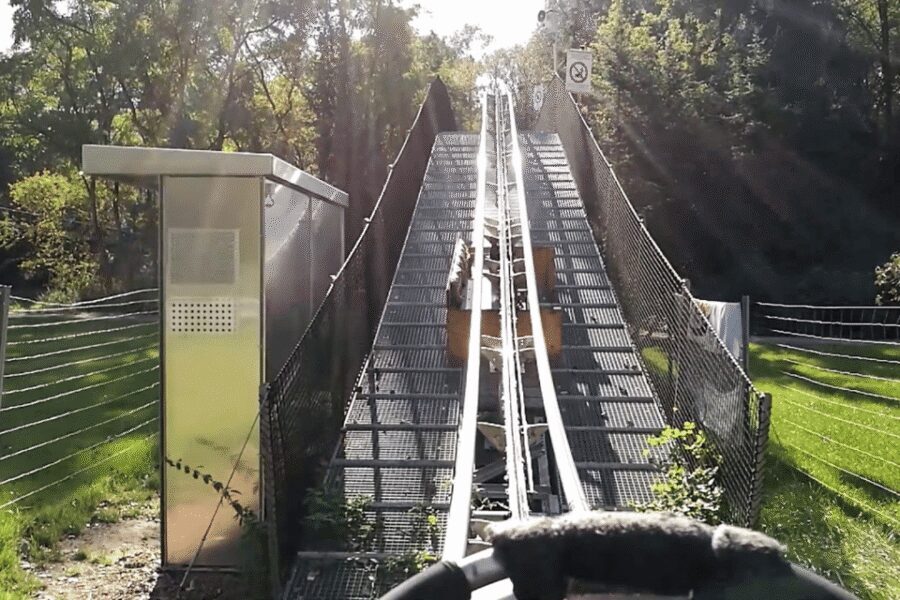 Berlin: Nature Bobsled Run Ticket - Safety Rules That Actually Matter Before You Sit Down