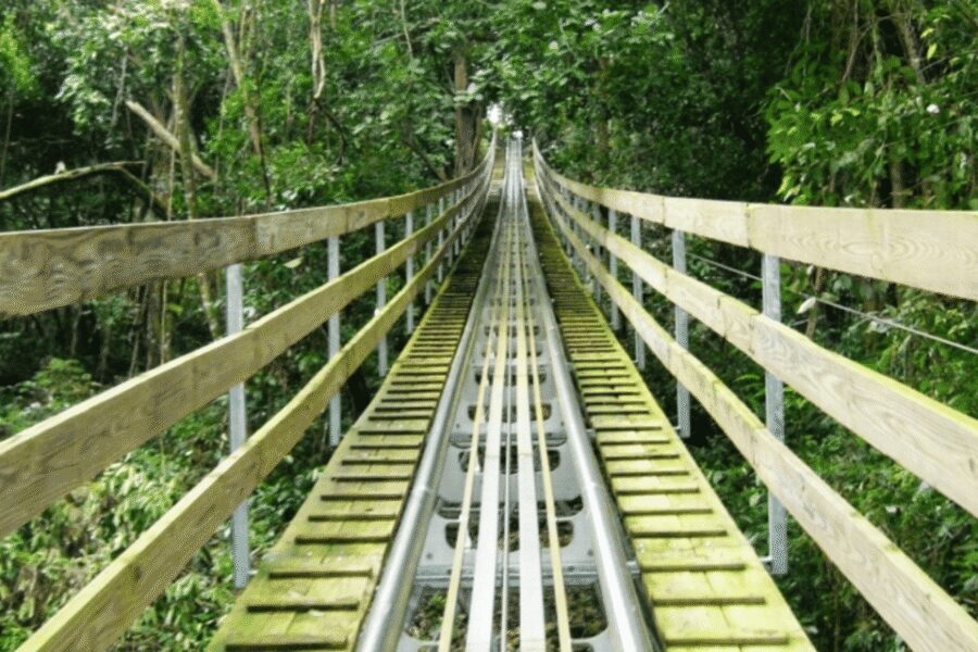 Berlin: Nature Bobsled Run Ticket - Wheelchair Access and Staff Support in English/German