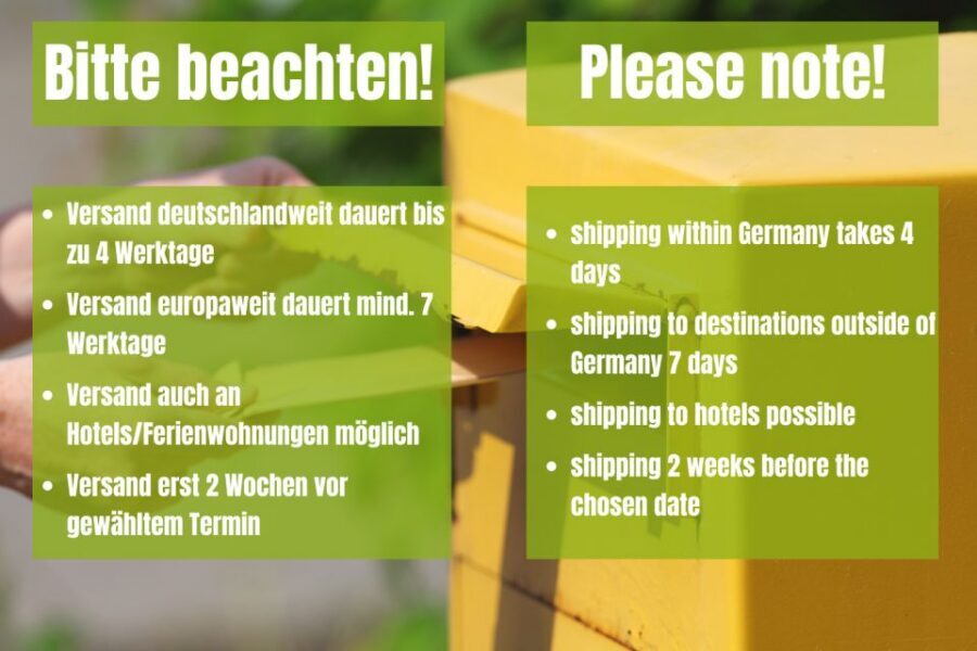 Berlin: Scavenger Hunt Self-Guided Tour - Key things to know before you start