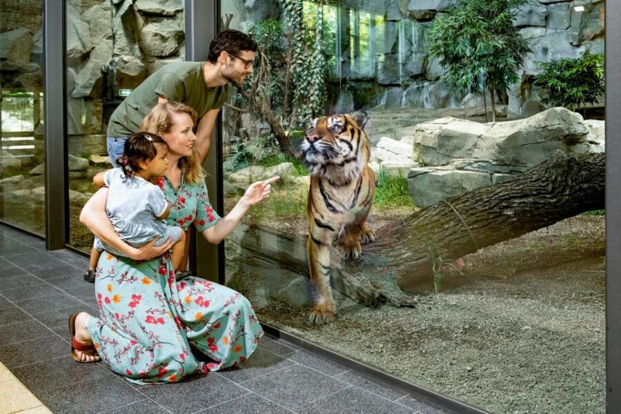 Berlin: Tickets for the Tierpark in East Berlin - A full-day zoo on 160 hectares: how to pace your visit