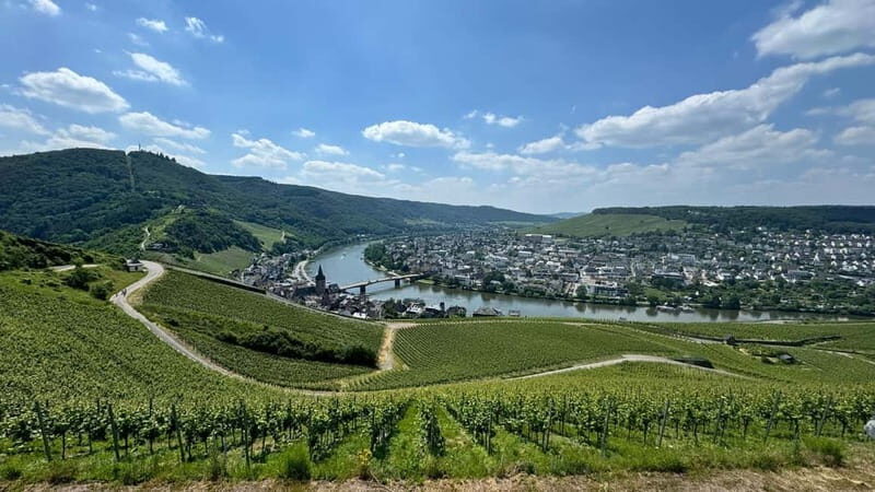 Bernkastel: 1-hour panoramic boat tour Lieser, Mülheim and back - What’s onboard: drinks, wine, and food options you can plan around