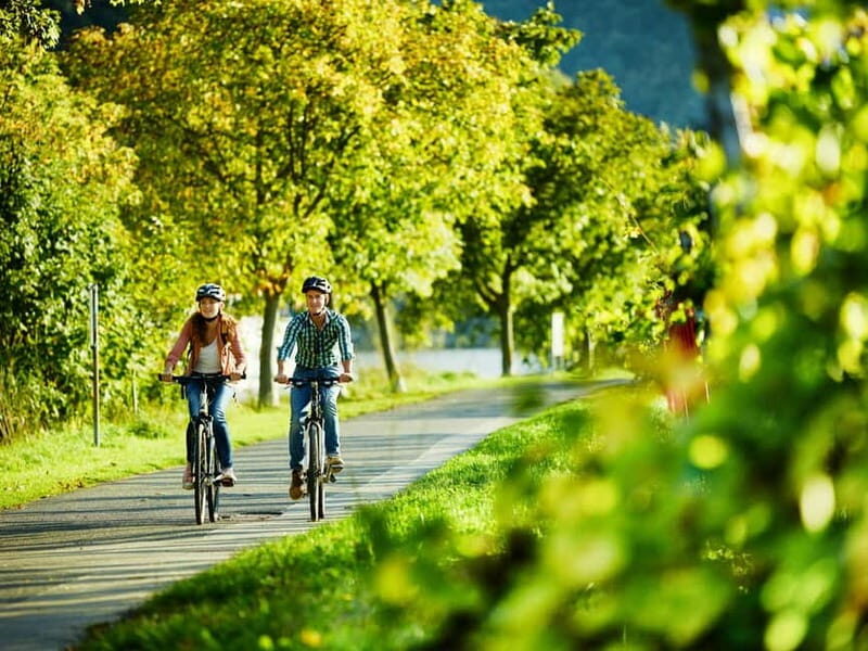 Bernkastel-Kues, Moselle: Bicycle picnic boat tour with wine tasting - Why this tour feels like the Moselle at its best
