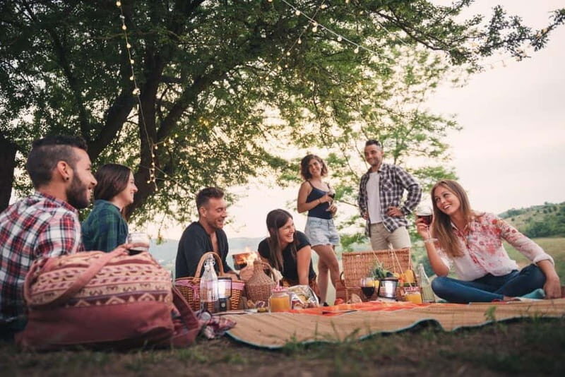 Bernkastel-Kues, Moselle: Bicycle picnic boat tour with wine tasting - Starting in Bernkastel-Kues: bike rental at Dietmar Geib