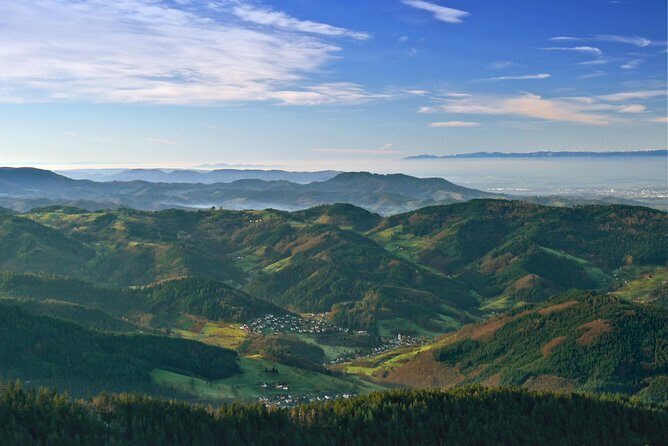 Black Forest Day Tour - Heidelberg to the Black Forest: Why This Day Works
