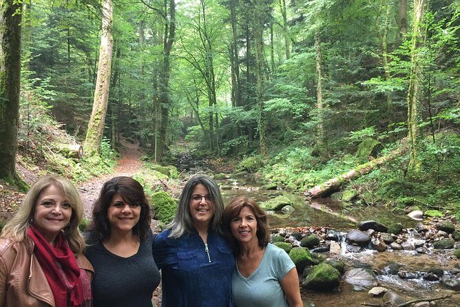 Black Forest Day Tour - Stop 1: Geroldsau Waterfall in the Forest (45 Minutes)