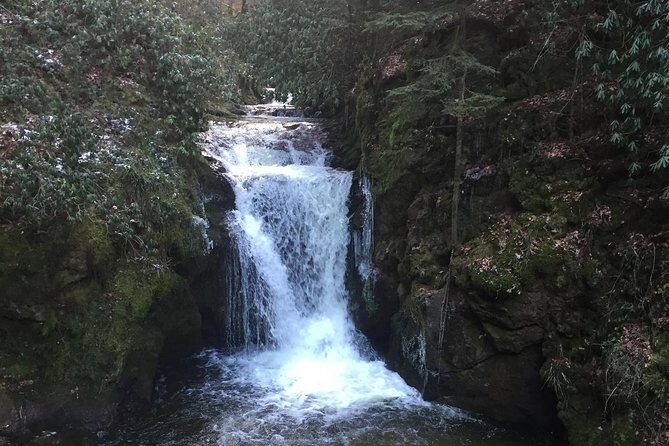 Black Forest Day Tour - Transfers, Tickets, and the Little Things That Make It Feel Easy
