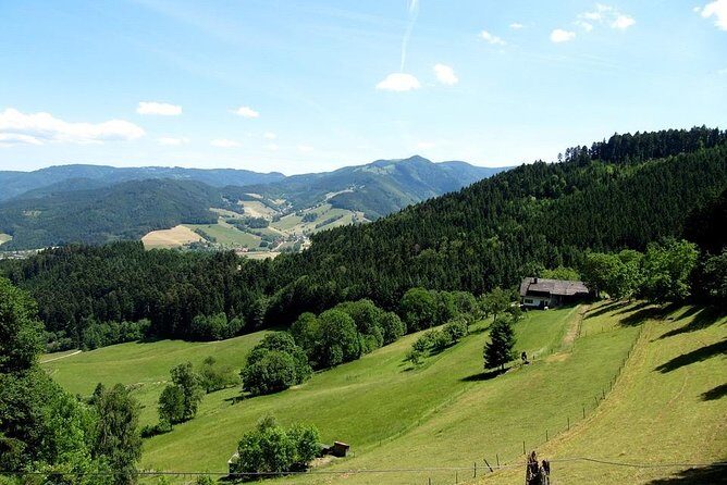 Black Forest Day Tour - Private With Henry: Custom Pace Without the Guesswork