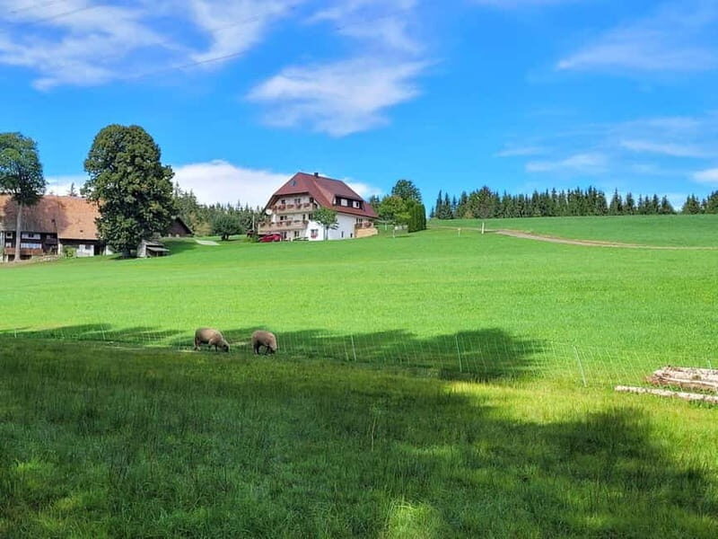 Black Forest: Ravenna Gorge Hike, Self-Guided - Why Ravenna Gorge works better than a simple walk