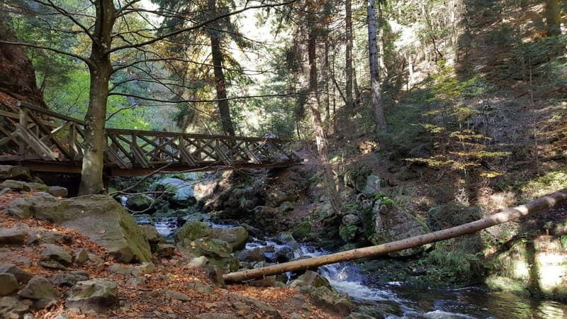 Black Forest: Ravenna Gorge Hike, Self-Guided - Ravenna Gorge: waterfalls, streams, and that classic dark-Black-Forest mood