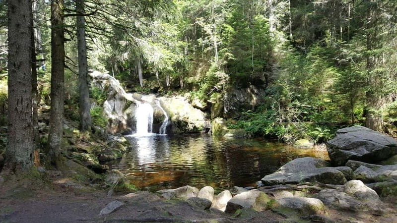 Black Forest: Ravenna Gorge Hike, Self-Guided - The valley’s mills: rope to spoons and the feeling of work