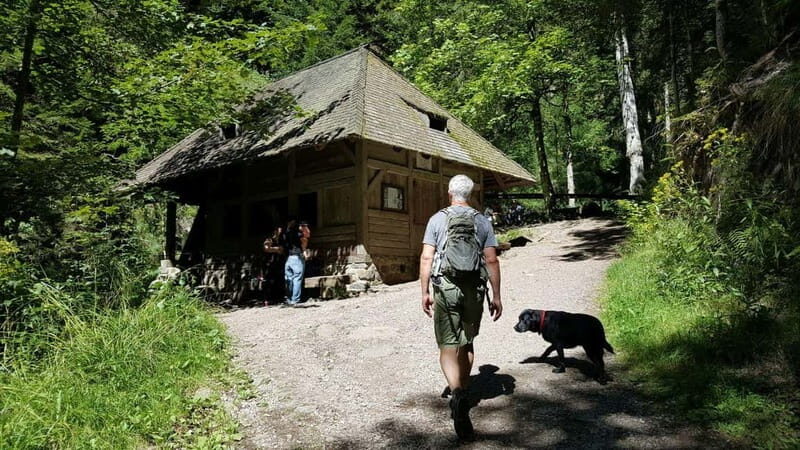 Black Forest: Ravenna Gorge Hike, Self-Guided - Using the 2gotours app: great when it behaves