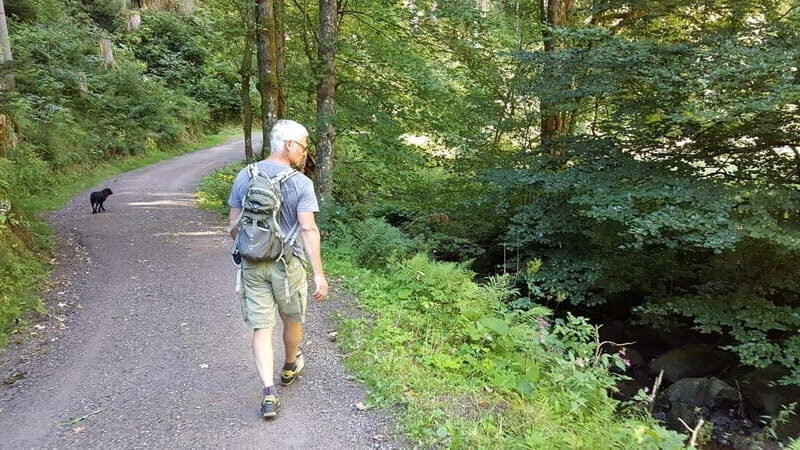 Black Forest: Ravenna Gorge Hike, Self-Guided - Getting to Hinterzarten: rail ride first, hike second