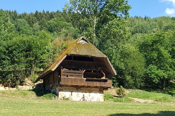 Black Forest Tour by car: Baden-Baden to Freiburg or vice versa - Triberger Waterfall and the Black Forest Museum: nature plus culture