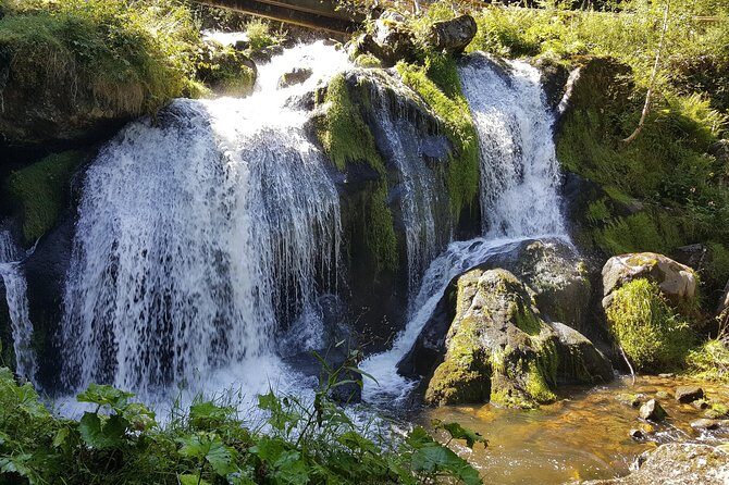 Black Forest Tour by car - Quick Tour from Freiburg - Timing, weather, and how to make it smooth