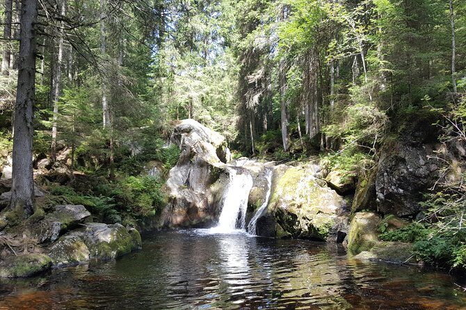 Black Forest Tour by car - Quick Tour from Freiburg - Who this tour fits best