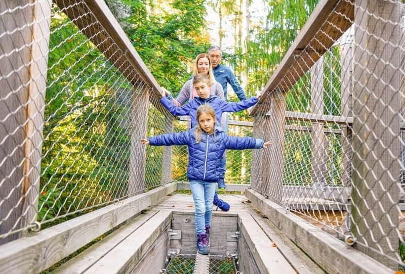 Black Forest: Treetop Walk & Lookout Tower Experience - Climbing the 40-meter lookout tower for real Black Forest views