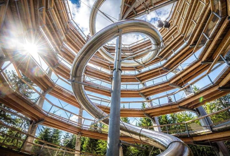 Black Forest: Treetop Walk & Lookout Tower Experience - The 55-meter tunnel slide: fun, but treat it as weather-dependent