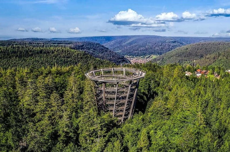 Black Forest: Treetop Walk & Lookout Tower Experience - Food, timing, and what to do if the day is short